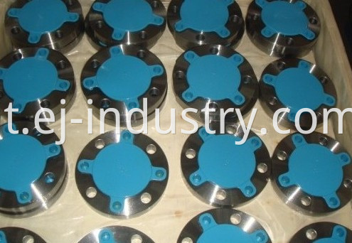 Forging Thread Flange